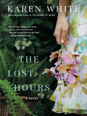 cover image of The Lost Hours